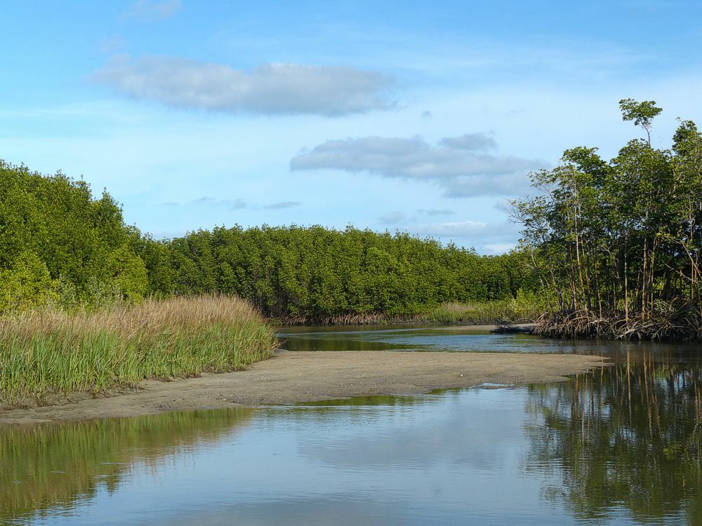 Click to See Next Image